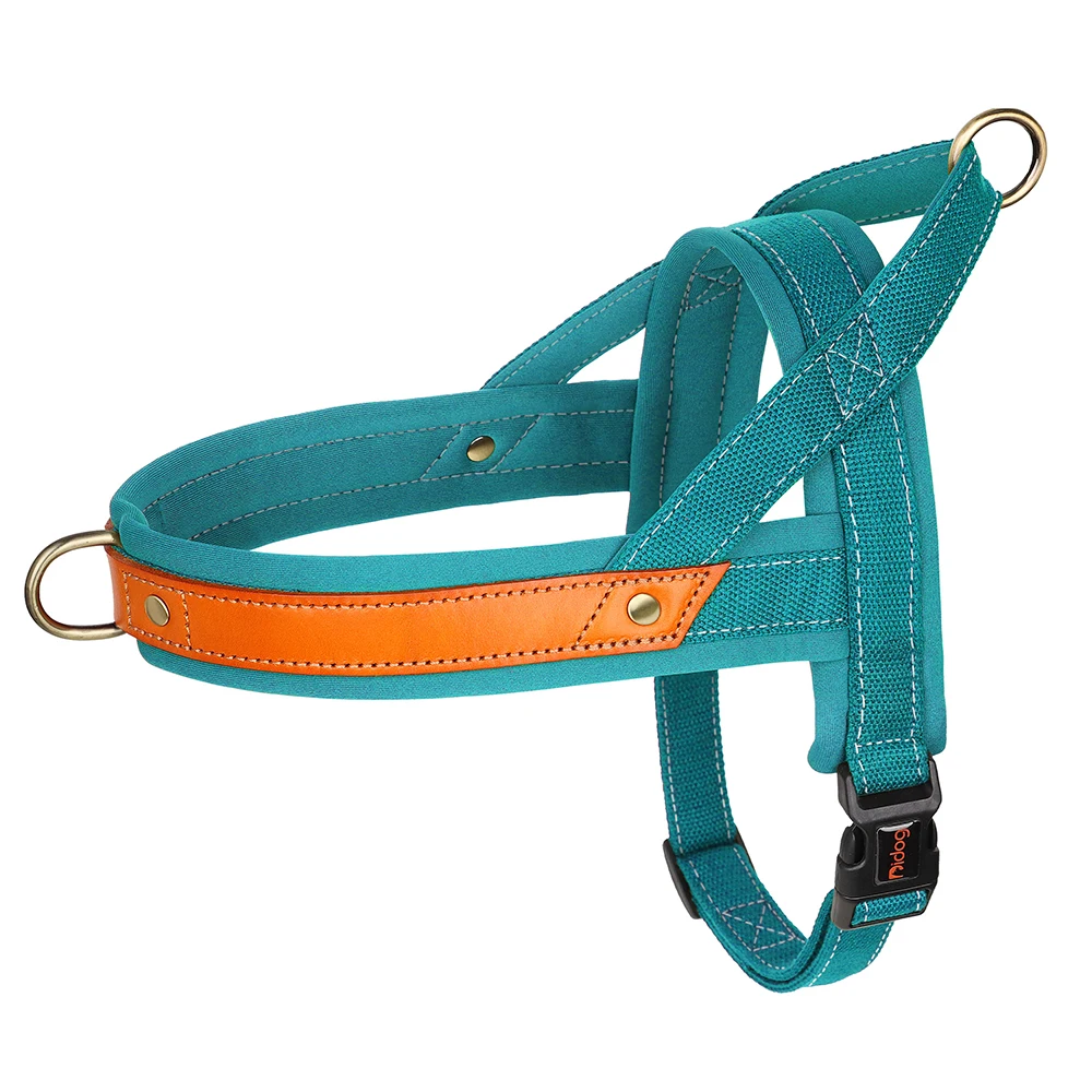 Harnais en T pour chien